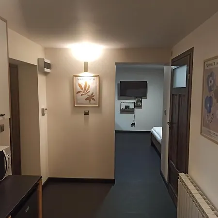 Pod Domem Apartment