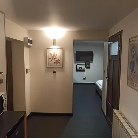 Pod Domem アパート